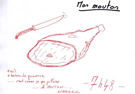 mouton7h48.jpg